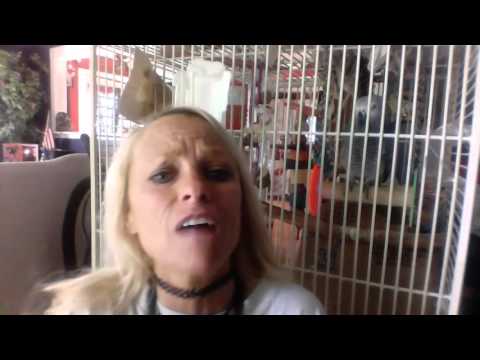 happy birthday ingrid, from my country to  you:)