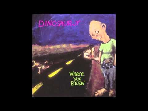 Dinosaur Jr. - Not The Same