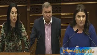 «Մեծ ճգնաժամն առջևում է».ի՞նչ խնդիրներ են բարձրաձայնվել ԱԺ-ում հայտարարությունների ժամին