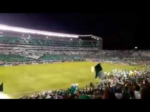 "Frente Radical- Tifo 104 años Deportivo Cali" Barra: Frente Radical Verdiblanco • Club: Deportivo Cali • País: Colombia