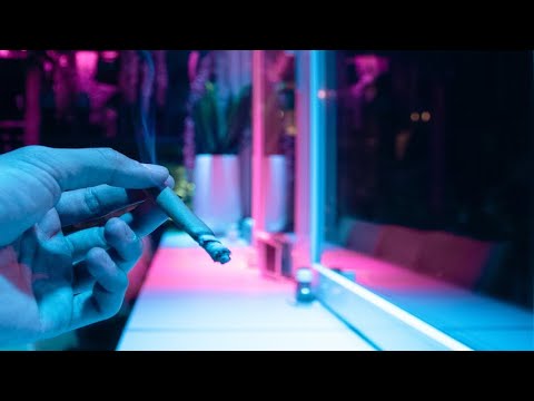 STONER HEAVEN - Nightlife in AMSTERDAM