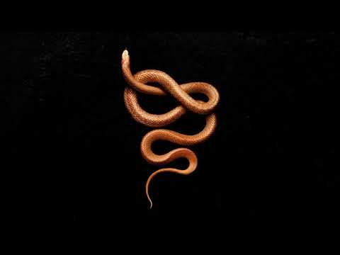 [FREE] Tyga x Offset Type Beat 2019 - "Snake" | Club Banger Instrumental 2019