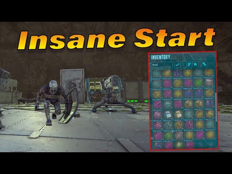 Starting Solo Insane Start - Quick Raids E1 | Ark PvP