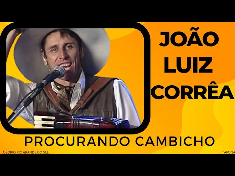 Procurando Cambichos - João Luiz Correa
