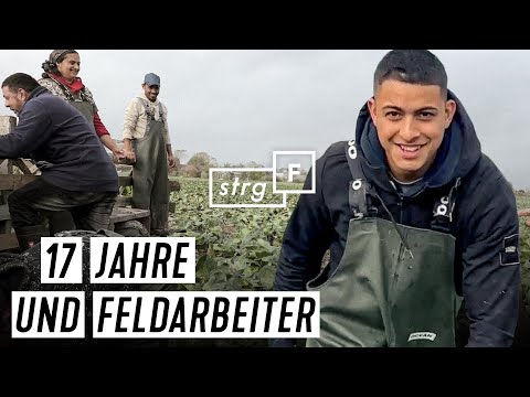 Rumänen auf dem Acker: Wie Kohl ein Dorf verändert | STRG_F