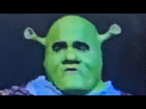 Blurry Screenshots of Shrek the Musical for the 20th Anniversary