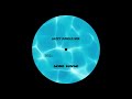Ambient Jungle Mix