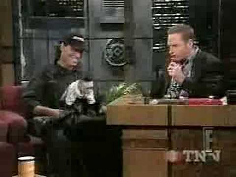 Talk Soup - Monkey Dum Dum