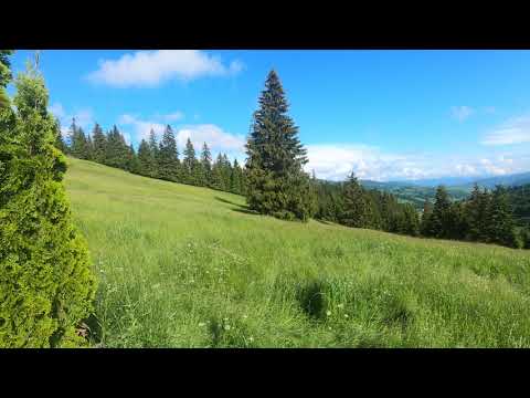 [Video Footage] Mountain View - Răchitiș. Bacău, Transilvania, România
