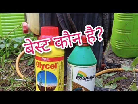 round up या glycel कौन है बेस्ट?