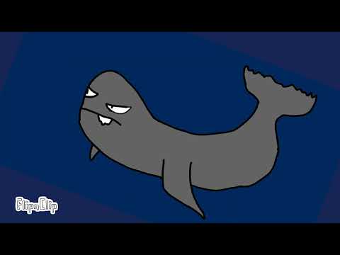 The bloop vs the meg fight animation