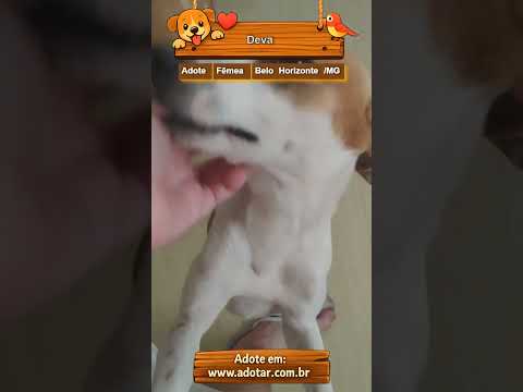 Vídeo de Deva