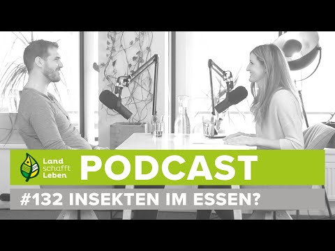 PODCAST | #132 Insekten im Essen? | Andreas Koitz – Wer nichts weiß, muss alles essen