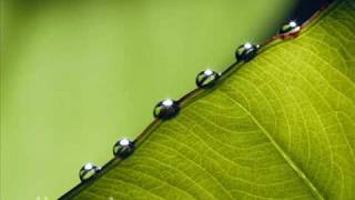 NASHEED BY MISHARY AL AFASYORIGINALLY POSTED BY SAYEHPart 1:I am the worshiper who earned the sins forbid by the wishes fr...