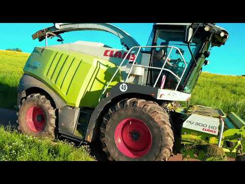 300 HEKTAR Silage Party | CLAAS JAGUAR 980 | Futter bis die Silos platzen