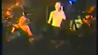 D.Y.S. - Live Set (1982)