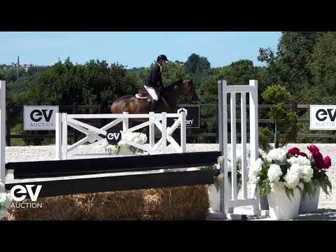 Calvados Clair'Elle Z ALLURES