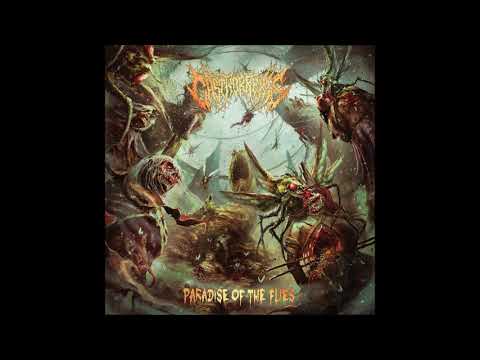 Gastrorrexis - Paradise Of The Flies (FULL ALBUM) (2020)