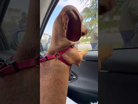 НАЙ-ЩАСТЛИВИЯТ Ѝ ДЕН 🥹