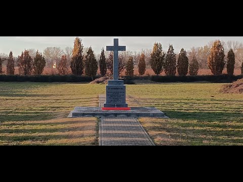 80 Jahre Heuwiese: Was am 25. November 1944 in Filipowa (Backi Gracac) geschah