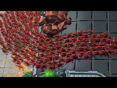 Two StarCraft 2 World Champions - EPIC Finals