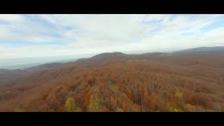 Autumn from FPV drone / Flying over the Autumn Forest / Long range fpv drone