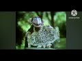 Sesame Street Ending Credits 1980 1981 UK Version