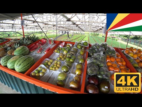 Anse A La Mouche Veg & Fruits Market Mahe Seychelles e2