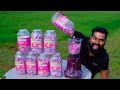 10000 Bubble Gum Giant Bubble Making Challenge | ബാബുൽഗം മിക്സിയിൽ അരച്ചപ്