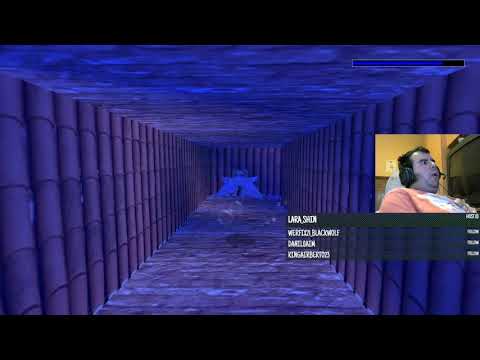 Tomb Raider: A Short Adventure (Niveles de autor)