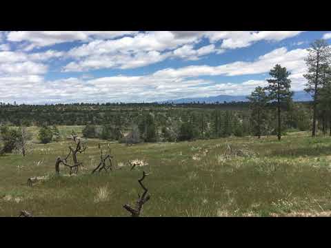 Meadow on frijoles hike