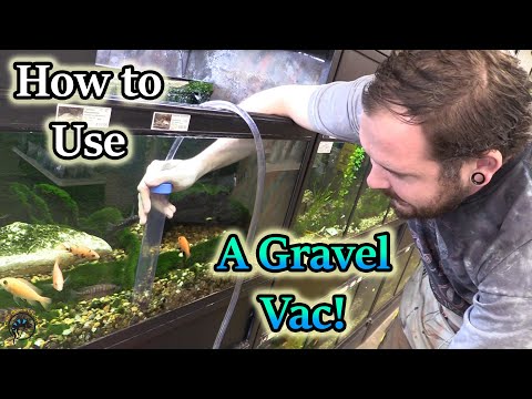How to Use an Aqueon Siphon Vacuum Gravel Cleaner to Clean Your Aquarium!  🐠