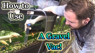 How to Use an Aqueon Siphon Vacuum Gravel Cleaner to Clean Your Aquarium!  🐠