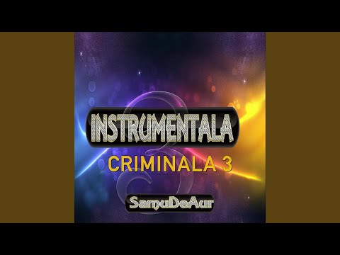 Instrumentala Criminala 3