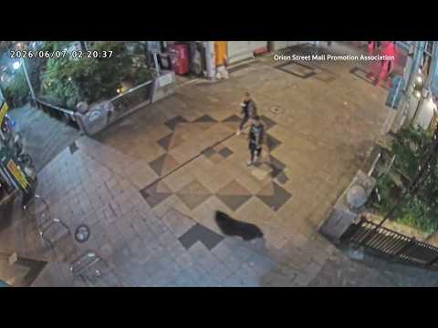 Video Thumbnail: Japanese city suspends 94 schools after first bear sighting