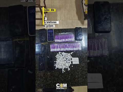 Polícia Civil - Operação Proteus