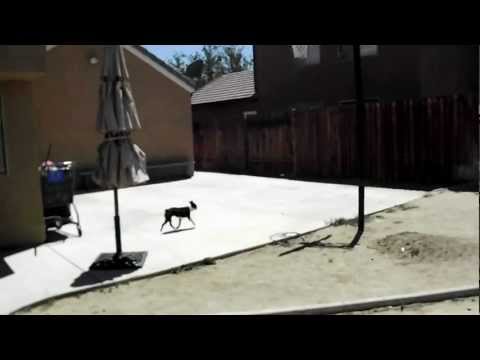 Fujifilm Finepix s4000 Video test