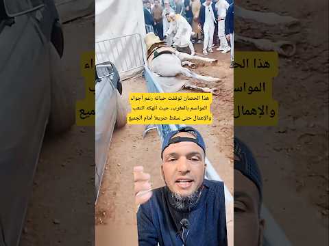 هذا الحصان توقفت حياته رغم أجواء المواسم بالمغرب حيث أنهكه التعب والإهمال حتى سقط صريعا أمام الجميع