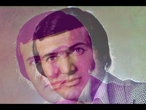 Agent Šaulić - Duplo vidim 7