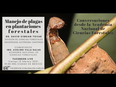 , title : 'Manejo de plagas en Plantaciones Forestales Comerciales'