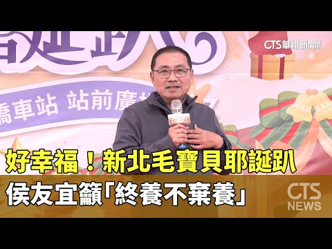 好幸福！新北毛寶貝耶誕趴　侯友宜籲「終養不棄養」