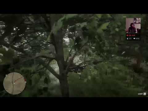 Käyttäjän Niilo22 PS4-live-lähetys RED DEAD REDEMPTION 2 osa4