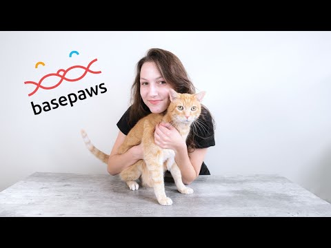 Basepaws Cat DNA Test Review (We Tested It)