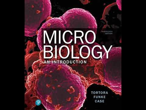 The Prokaryotes: Domains Bacteria and Archaea | Chapter 11 - Microbiology: An Introduction