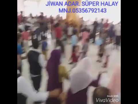 Jiwan adar süper halay