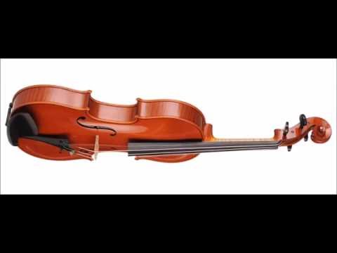 Debora Scianamé - Finalist - 13th Wieniawski Violin Making Comp. | binaural recording | concert hall