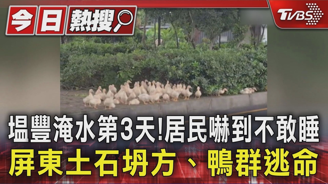影音/塭豐淹水第3天! 居民嚇到不敢睡 屏東土石坍方、鴨群逃命