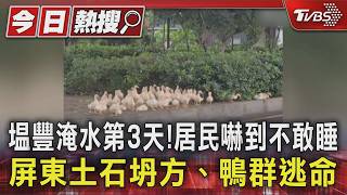 屏東豪雨釀災! 積水3天不退逼瘋居民