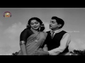 Chitapata Chinukulu Songs Parugulu Theese Nee Video Song Aatma Balam Telugu Movie ANR