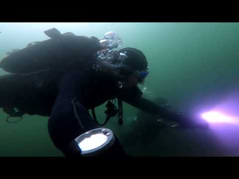 # 146  Duiken met Roel Nionplas 4 september